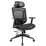 Aura Ergonomic Mesh Executive Office Chair with Advanced Adjustability