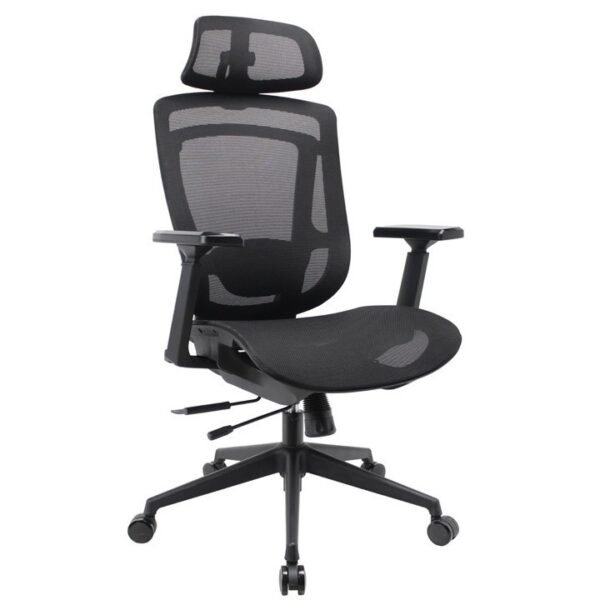 Aura Ergonomic Mesh Executive Office Chair with Advanced Adjustability