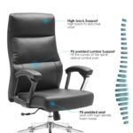 The Bahoo Executive Ergonomic Lumbar Support Office Chair - Image 2