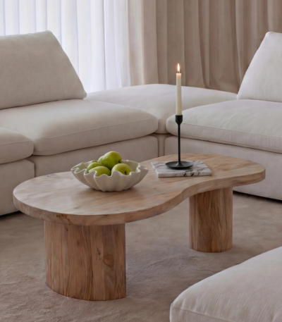 Bahoo Valenza Solid Mango Wood Storage Coffee Table - handcrafted wooden center table with storage